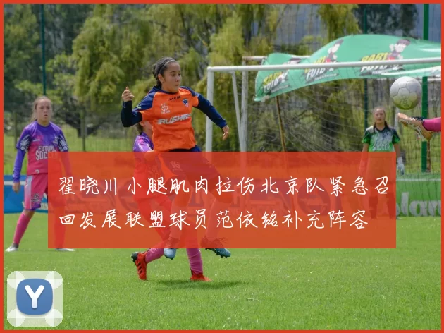 翟晓川小腿肌肉拉伤北京队紧急召回发展联盟球员范依铭补充阵容