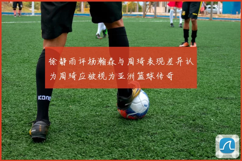 徐静雨评杨瀚森与周琦表现差异认为周琦应被视为亚洲篮球传奇